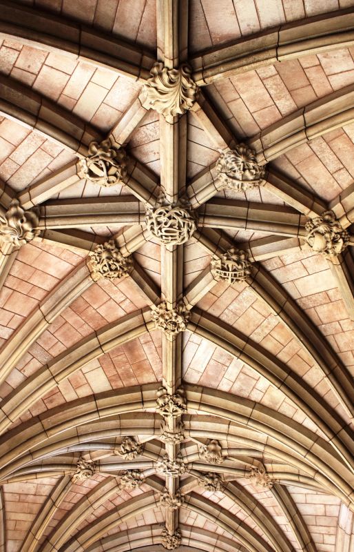 Vaulted Ceiling Construction